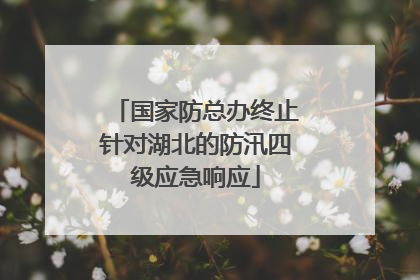国家防总办终止针对湖北的防汛四级应急响应
