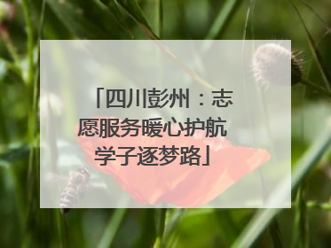 四川彭州：志愿服务暖心护航学子逐梦路