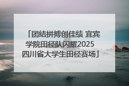 团结拼搏创佳绩 宜宾学院田径队闪耀2025四川省大学生田径赛场