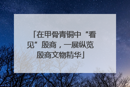在甲骨青铜中“看见”殷商，一展纵览殷商文物精华