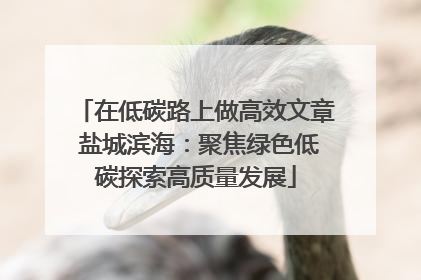 在低碳路上做高效文章 盐城滨海：聚焦绿色低碳探索高质量发展
