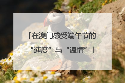 在澳门感受端午节的“速度”与“温情”