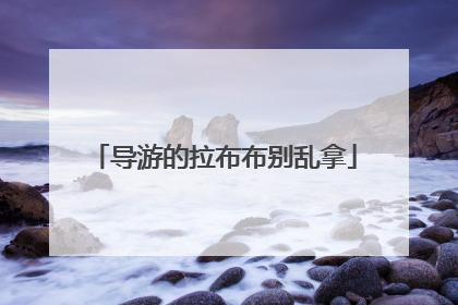 导游的拉布布别乱拿