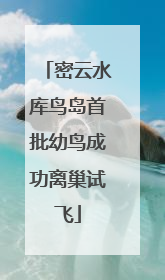 密云水库鸟岛首批幼鸟成功离巢试飞