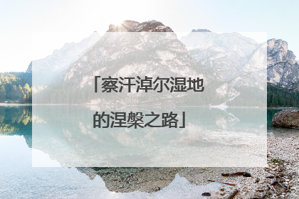 察汗淖尔湿地的涅槃之路