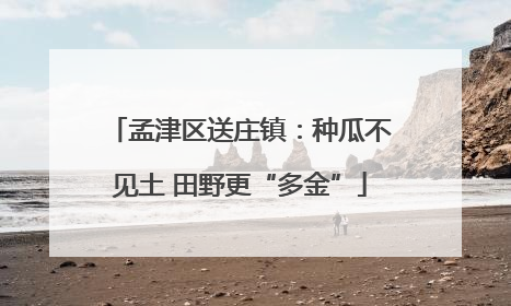 孟津区送庄镇：种瓜不见土 田野更“多金”