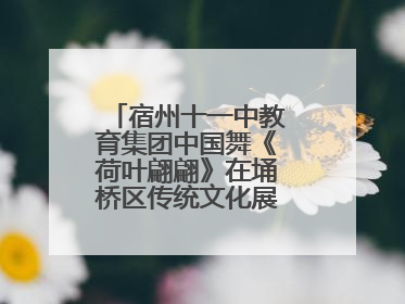 宿州十一中教育集团中国舞《荷叶翩翩》在埇桥区传统文化展演中大放异彩