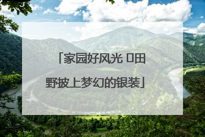 家园好风光 ⎮田野披上梦幻的银装