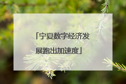 宁夏数字经济发展跑出加速度