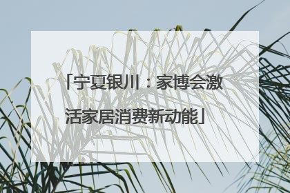宁夏银川：家博会激活家居消费新动能