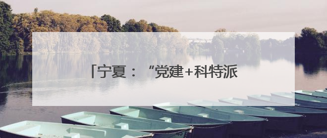 宁夏：“党建+科特派”架起服务乡村连心桥