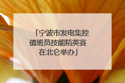 宁波市发电集控值班员技能精英赛在北仑举办