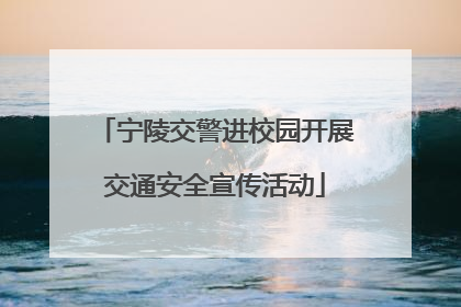 宁陵交警进校园开展交通安全宣传活动