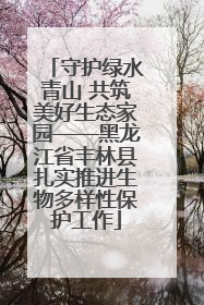 守护绿水青山 共筑美好生态家园——黑龙江省丰林县扎实推进生物多样性保护工作