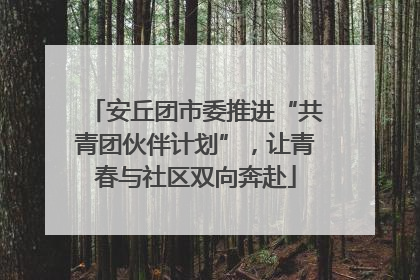 安丘团市委推进“共青团伙伴计划”，让青春与社区双向奔赴