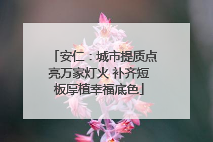 安仁：城市提质点亮万家灯火 补齐短板厚植幸福底色