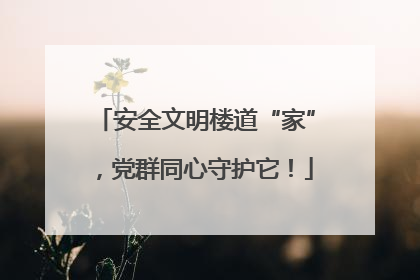 安全文明楼道“家”，党群同心守护它！