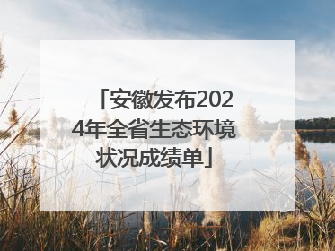 安徽发布2024年全省生态环境状况成绩单