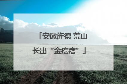 安徽旌德 荒山长出“金疙瘩”