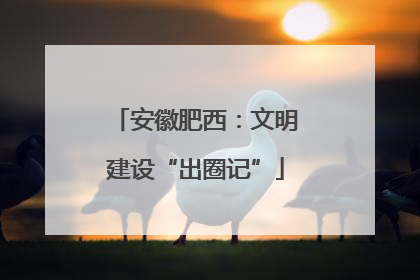 安徽肥西：文明建设“出圈记”