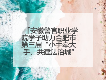 安徽警官职业学院学子助力合肥市第三届“小手牵大手、共建法治城”公益普法活动