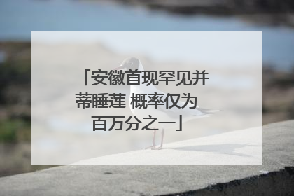 安徽首现罕见并蒂睡莲 概率仅为百万分之一