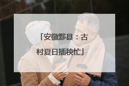 安徽黟县：古村夏日插秧忙