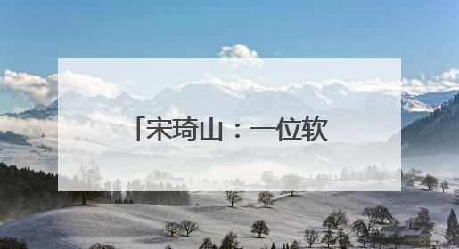 宋琦山：一位软件工程师到茶乡制茶人的蝶变