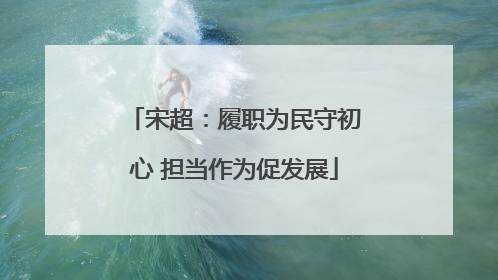 宋超：履职为民守初心 担当作为促发展