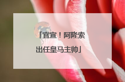 官宣！阿隆索出任皇马主帅