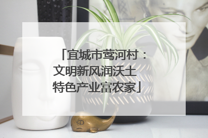 宜城市莺河村：文明新风润沃土 特色产业富农家