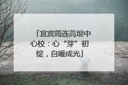 宜宾筠连蒿坝中心校：心“芽”初绽，自暖成光