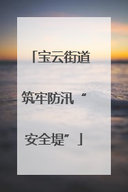 宝云街道筑牢防汛“安全堤”