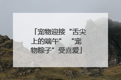 宠物迎接“舌尖上的端午” “宠物粽子”受喜爱