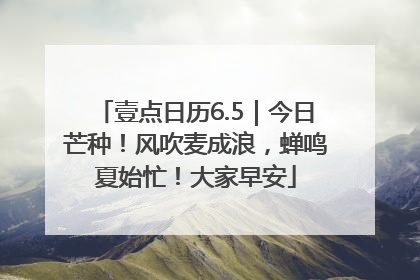 壹点日历6.5｜今日芒种！风吹麦成浪，蝉鸣夏始忙！大家早安