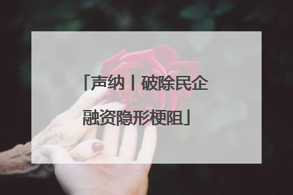 声纳丨破除民企融资隐形梗阻