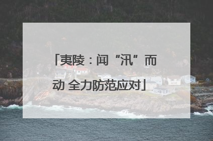 夷陵：闻“汛”而动 全力防范应对