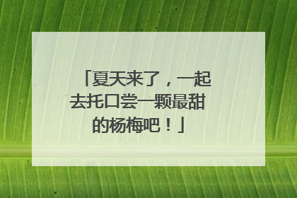 夏天来了，一起去托口尝一颗最甜的杨梅吧！