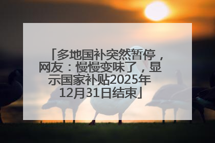 多地国补突然暂停，网友：慢慢变味了，显示国家补贴2025年12月31日结束