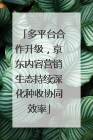 多平台合作升级，京东内容营销生态持续深化种收协同效率