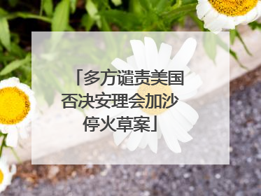 多方谴责美国否决安理会加沙停火草案