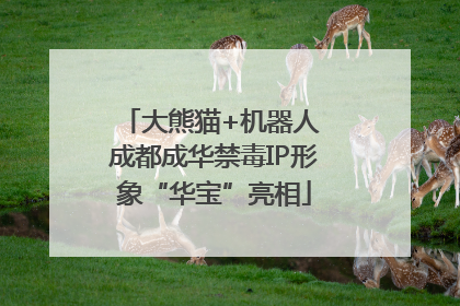 大熊猫+机器人 成都成华禁毒IP形象“华宝”亮相