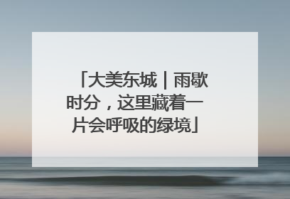 大美东城｜雨歇时分，这里藏着一片会呼吸的绿境