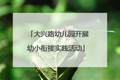 大兴路幼儿园开展幼小衔接实践活动