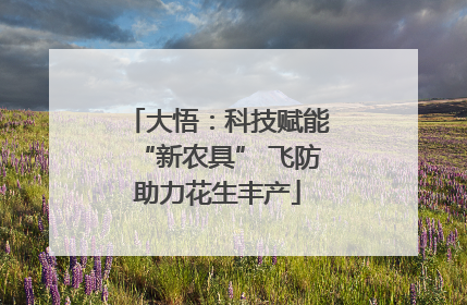 大悟：科技赋能“新农具” 飞防助力花生丰产
