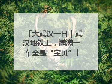 大武汉一日｜武汉地铁上，满满一车全是“宝贝”