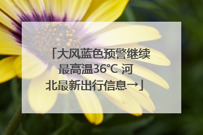 大风蓝色预警继续 最高温36℃ 河北最新出行信息→
