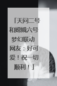 天问二号和嫦娥六号梦幻联动 网友：好可爱！祝一切顺利！