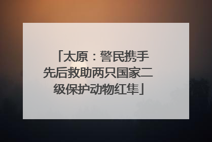 太原：警民携手 先后救助两只国家二级保护动物红隼