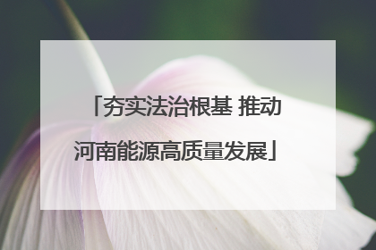 夯实法治根基 推动河南能源高质量发展